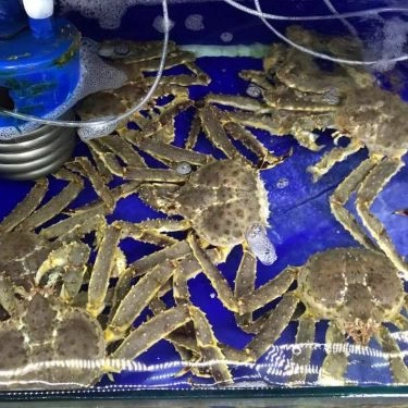 Tổng hợp- Quán Ăn Làng Cá - Hải Sản Tươi Sống