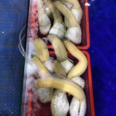 Tổng hợp- Quán Ăn Làng Cá - Hải Sản Tươi Sống