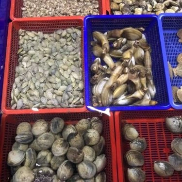 Tổng hợp- Quán Ăn Làng Cá - Hải Sản Tươi Sống