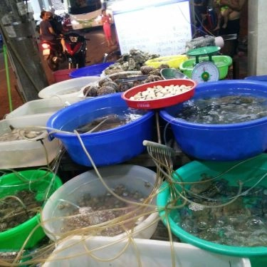 Tổng hợp- Quán Ăn Long Vũ - Quán Ốc & Hải Sản Nha Trang