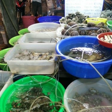 Tổng hợp- Quán Ăn Long Vũ - Quán Ốc & Hải Sản Nha Trang