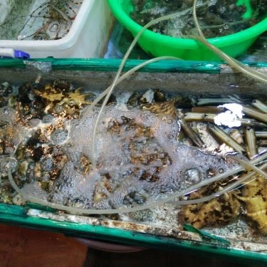 Tổng hợp- Quán Ăn Long Vũ - Quán Ốc & Hải Sản Nha Trang