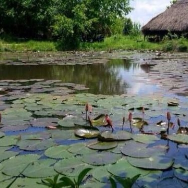 Tổng hợp- Quán Ăn Mười Tâm 2 - Cháo Bầu