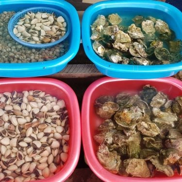 Tổng hợp- Quán Ăn Ngọc Hoan - Hải Sản Tươi Sống