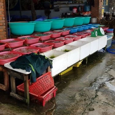 Tổng hợp- Quán Ăn Ngọc Hoan - Hải Sản Tươi Sống