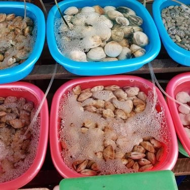 Tổng hợp- Quán Ăn Ngọc Hoan - Hải Sản Tươi Sống