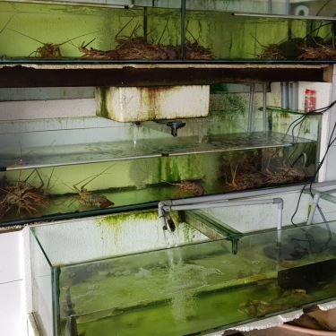 Tổng hợp- Quán Ăn Ngọc Hoan - Hải Sản Tươi Sống