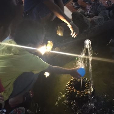 Tổng hợp- Quán Ăn Nhà Hàng Phong Cua 2 - Bình Quới