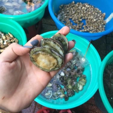 Tổng hợp- Quán Ăn Ốc Hương - Tháp Bà
