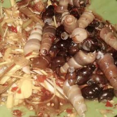 Món ăn- Quán Ăn Ốc Hút Cây Bàng