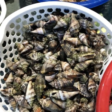 Tổng hợp- Quán Ăn Ốc Mỹ - Lương Sơn