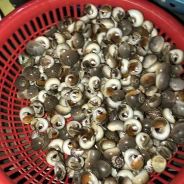 Tổng hợp- Quán Ăn Ốc Mỹ - Lương Sơn