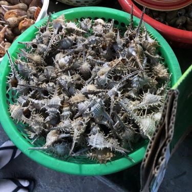Tổng hợp- Quán Ăn Ốc Mỹ - Lương Sơn