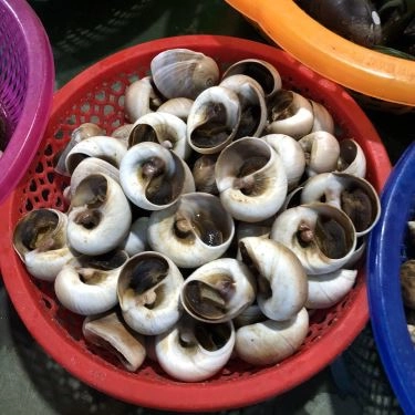Tổng hợp- Quán Ăn Ốc Mỹ - Lương Sơn