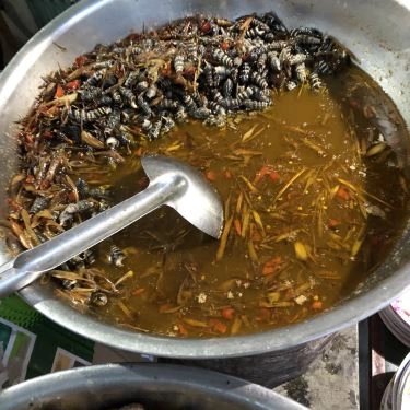 Tổng hợp- Quán Ăn Ốc Mỹ - Lương Sơn