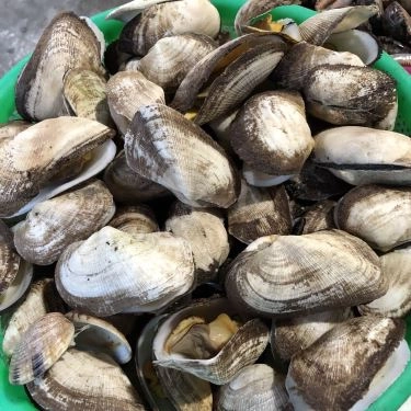 Tổng hợp- Quán Ăn Ốc Mỹ - Lương Sơn