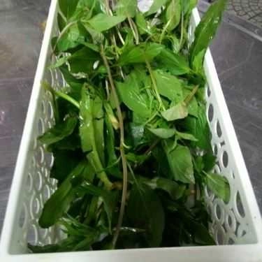 Tổng hợp- Quán Ăn Phở Bắc Tràng An