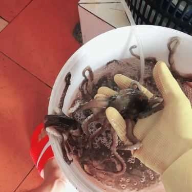 Tổng hợp- Quán Ăn Phố Biển - Hải Sản Tươi Sống