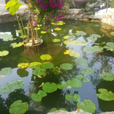 Tổng hợp- Nhà Hàng Phố Cổ Cafe & Restaurant