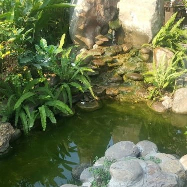 Tổng hợp- Nhà Hàng Phố Cổ Cafe & Restaurant