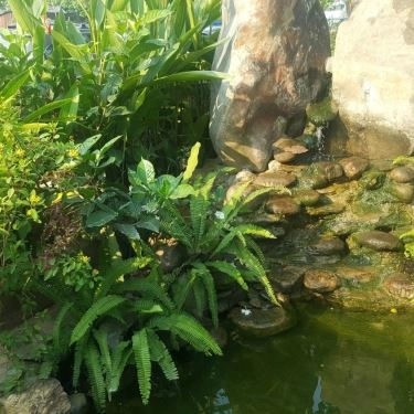 Tổng hợp- Nhà Hàng Phố Cổ Cafe & Restaurant