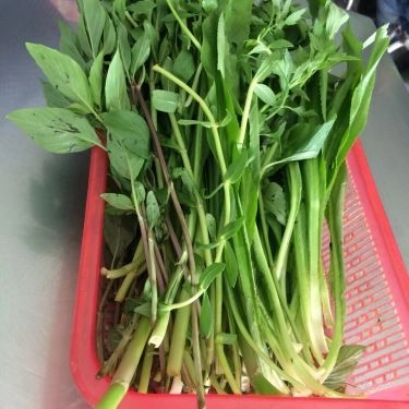 Món ăn- Quán Ăn Phở Kim Anh - Lê Đình Cẩn