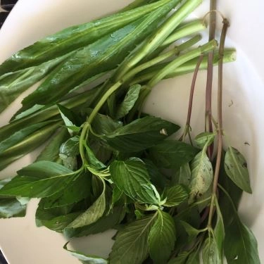 Tổng hợp- Quán Ăn Phở Ngọc Hà