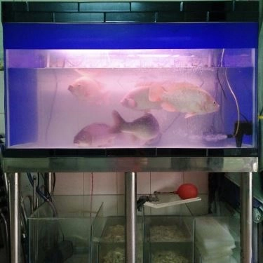 Tổng hợp- Quán Ăn Quán 2 Người Bạn - Các Món Lẩu