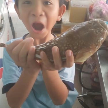 Tổng hợp- Quán Ăn Quán 2Ku - Cá Nướng Rau Rừng