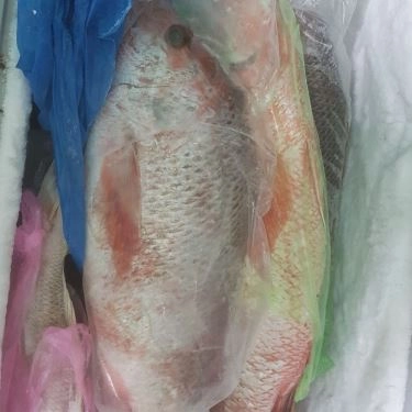 Tổng hợp- Quán Ăn Quán 2Ku - Cá Nướng Rau Rừng