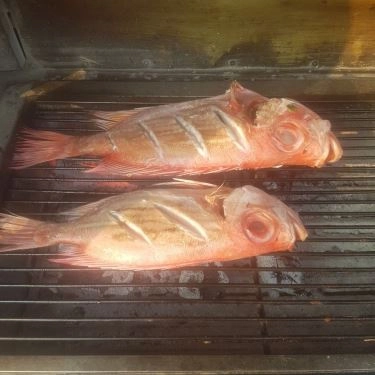 Tổng hợp- Quán Ăn Quán 2Ku - Cá Nướng Rau Rừng