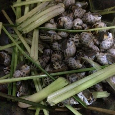 Tổng hợp- Quán Ăn Quán 2Ku - Cá Nướng Rau Rừng
