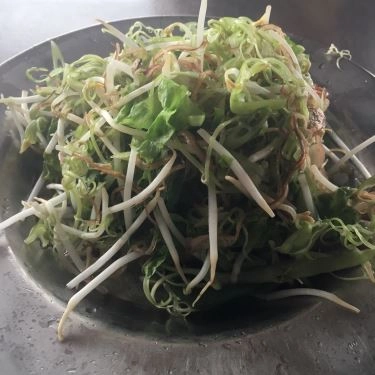 Tổng hợp- Quán Ăn Quán Cây Bàng - Bún Giò Heo & Bún Bò Huế