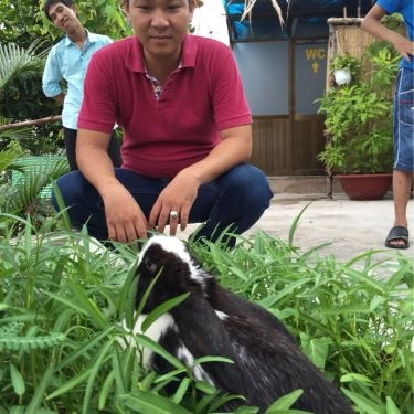 Tổng hợp- Quán Ăn Quán Chuông Vàng - Bình Quới