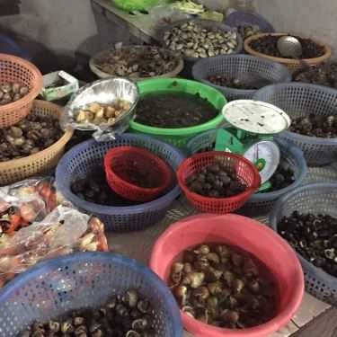 Tổng hợp- Quán Ăn Quán Ốc Tùng Dương