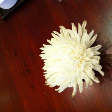 Tổng hợp- Quán Ăn Sadec Quán - Hủ Tiếu & Bánh Tằm - Nguyễn Đình Chiểu