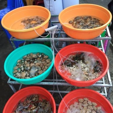 Tổng hợp- Quán Ăn Săn Bắn Cá - Quán Nhậu Bình Dân