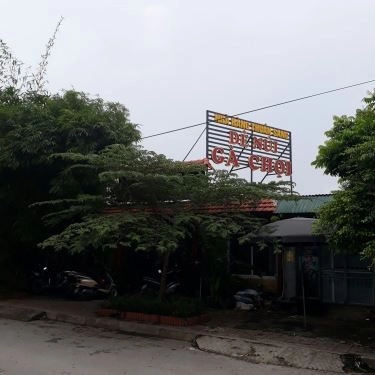 Tổng hợp- Quán Ăn Thuần Sang - Đặc Sản Gà Chọi