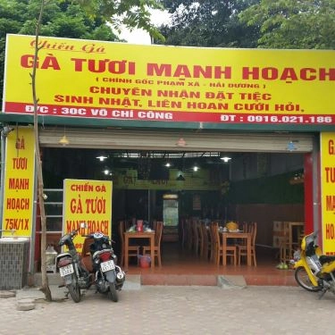 Tổng hợp- Nhà Hàng Chiến Gà - Gà Tươi Mạnh Hoạch