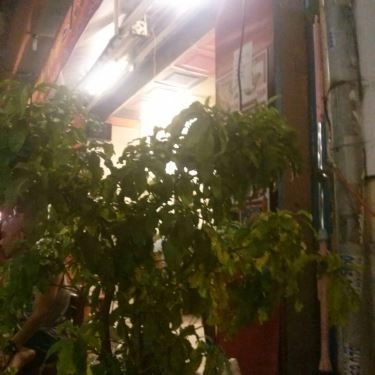 Tổng hợp- Quán Ăn Chilli Quán - Hoàng Hoa Thám