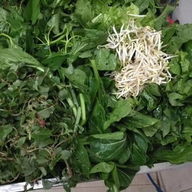 Tổng hợp- Quán Ăn Chính Béo - Lẩu Cua Đồng