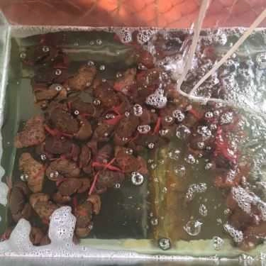 Món ăn- Chính Biển - Hải Sản Hạ Long