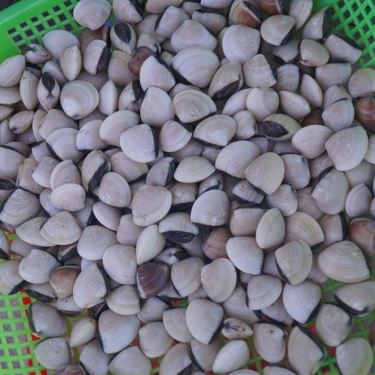 Tổng hợp- Quán Ăn Chú 5 Lùn - Quán Hải Sản