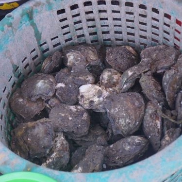 Tổng hợp- Quán Ăn Chú 5 Lùn - Quán Hải Sản