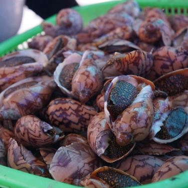 Món ăn- Quán Ăn Chú 5 Lùn - Quán Hải Sản