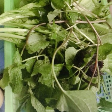 Món ăn- Quán Ăn Cô Hai - Bánh Xèo, Nem Lụi & Bánh Khọt
