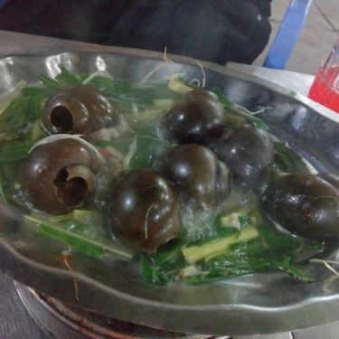 Tổng hợp- Cò Kếu Bờ Sông - Quán Ăn Ven Sông