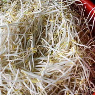 Tổng hợp- Quán Ăn Quán Bún Cô Lành