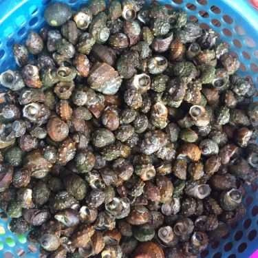 Tổng hợp- Quán Ăn Cô Nhàn Béo - Bia Hơi & Hải Sản Các Loại