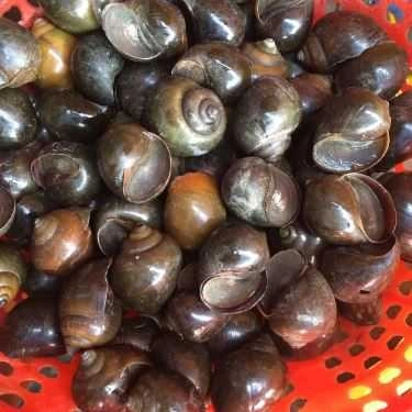 Tổng hợp- Quán Ăn Cô Nhàn Béo - Bia Hơi & Hải Sản Các Loại